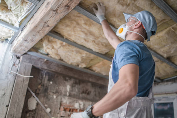 Best Spray Foam Insulation in Mount Pulaski, IL