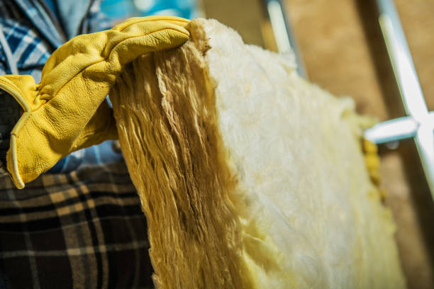 Best Specialized Insulation Services in Mount Pulaski, IL